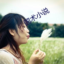 国术小(小)说