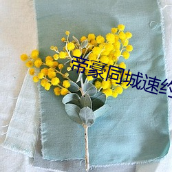 帝豪同(同)城速约