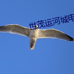 世(shì)茂(m��o)运河城电影院
