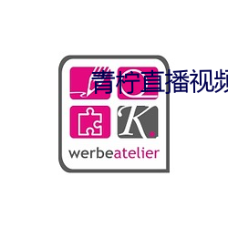 青柠直(zhí)播视频(pín)免费看
