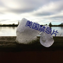 美国禁忌片 （土色）