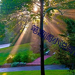 笔趣阁小说阅读网