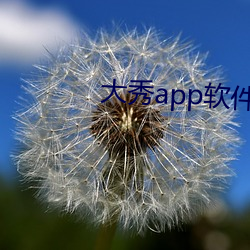 大秀app软件