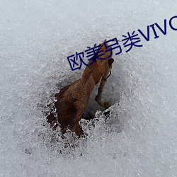 欧(歐)美另类(類)VIVOX21老少配