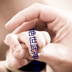 絕世武神小說