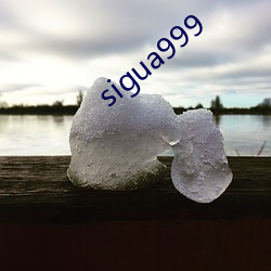 sigua999