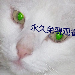 永久免费观看污染app