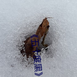 《五十度黑》电影