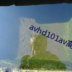 avhd101av高清迷片在线