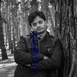 農場的女兒們美國版