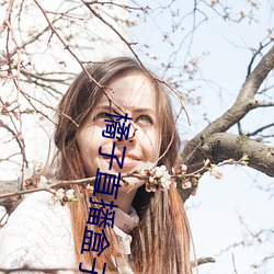 橘子直播盒子