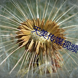 天美传(傳)媒(媒)视频下(下)载