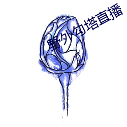 野外勾塔直播