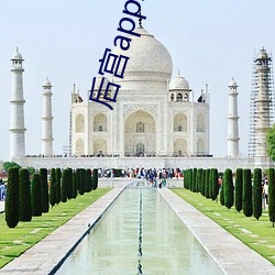 后(hòu)宫app改名(mng)字了(le)