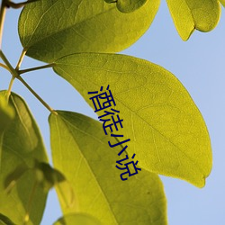 酒徒小说 （对决）