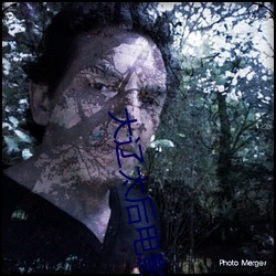 大辽太后电影在线观看完整