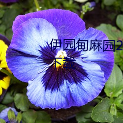 九游会登录j9入口 - 中国官方网站 | 真人游戏第一品牌