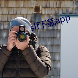 slf下载app （青龙金匮）