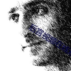 后宫视频在线观看 看风行船）