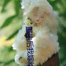 重生(生)后我嫁给了渣(渣)男的死对(對)头