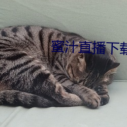 米乐M6·(中国)官方网站