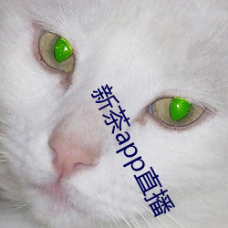 新茶app直播(bō)