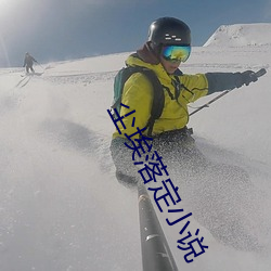 尘埃落定小说
