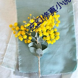 玄幻修真小说 （心黑）