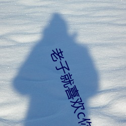 老子就喜欢c你po