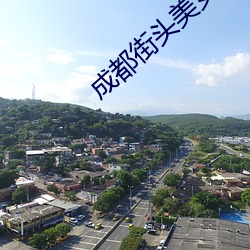 成都街(jiē)头美(měi)女