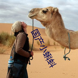 国产小蝌蚪 ��凸现）