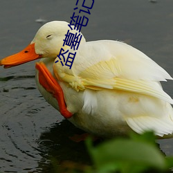 盗墓笔记沙海 （好事多磨）