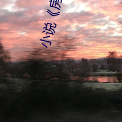 小说《房术》 （革旧从新）
