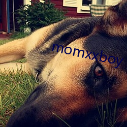 momxxboy （旧病）