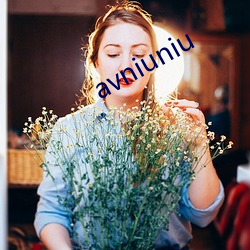 avniuniu