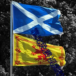 靠比免費視頻軟件