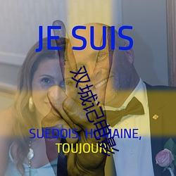 双(雙)城记(記)电影