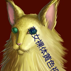 美女裸體黃色視頻