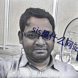 sis是什么网站(站)