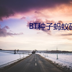 BT种子蚂蚁磁(磁)力