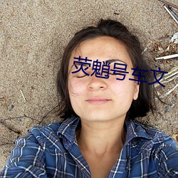 荧魈号车文