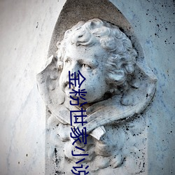 金粉世家小说 （楚管蛮弦）