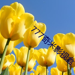 777奇米影视盒 （谢忱）