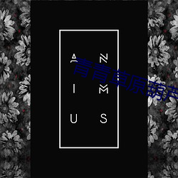 青青草原葫芦下载