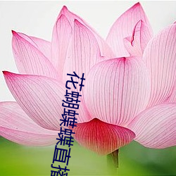 ca88手机客户端(安卓/苹果)CA88会员登录入口