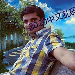 2020中文乱码字幕