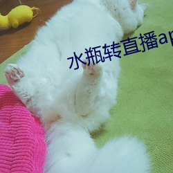 ca88手机客户端(安卓/苹果)CA88会员登录入口