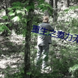 重生之妻力無窮