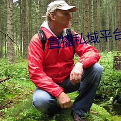 直播私域平台