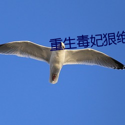 重(zhòng)生(shēng)毒妃狠绝色